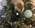 Снежная cова: отзыв от Марина Рудакова