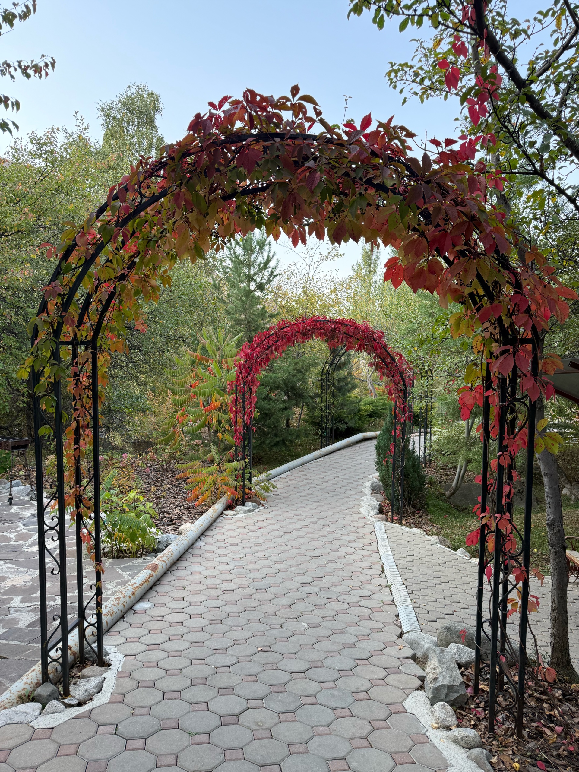 Жас қазақша порно видео