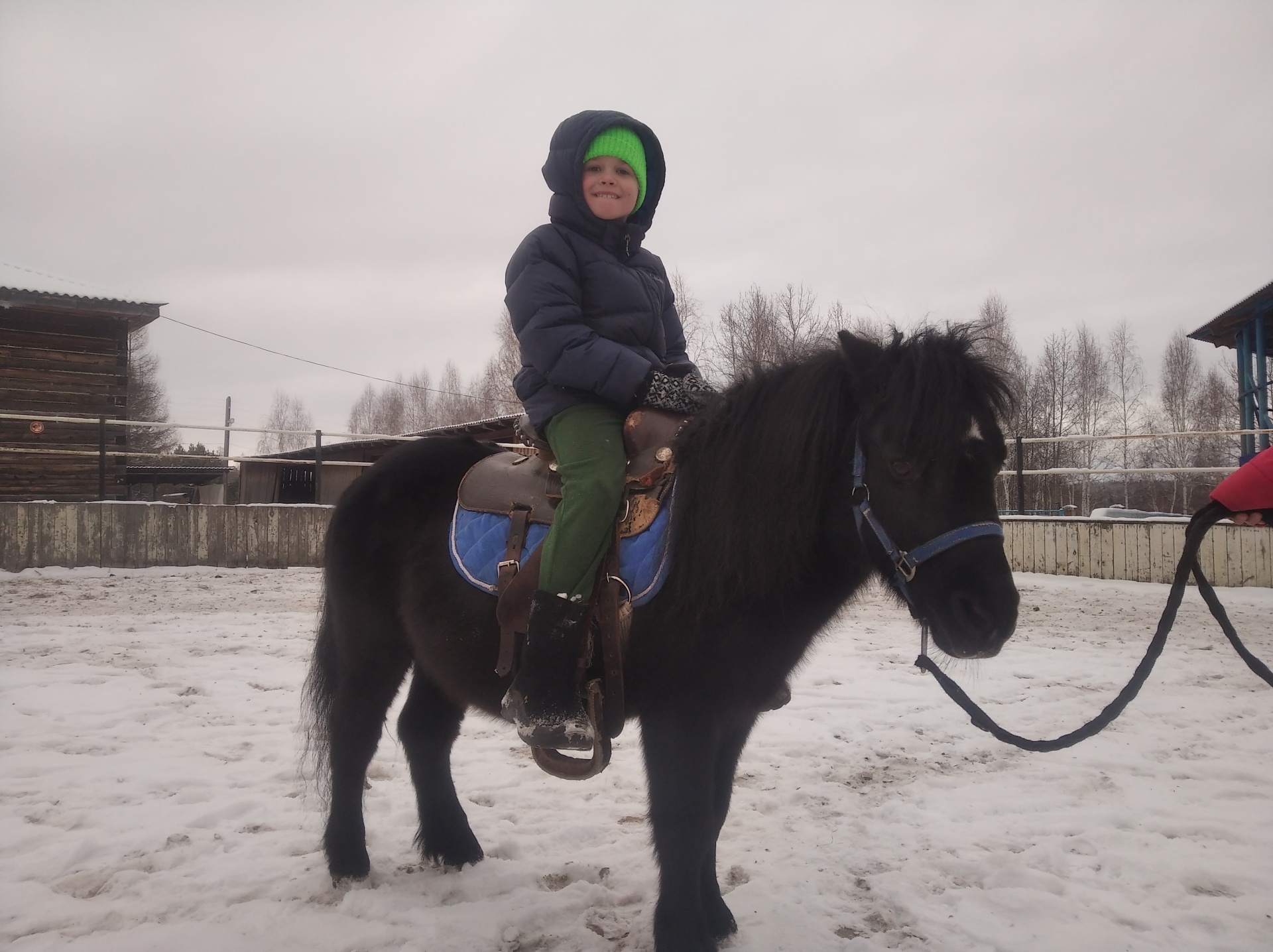 Конный мир, зоопарк, Конный мир, Прохладная, 15, Братск — 2ГИС