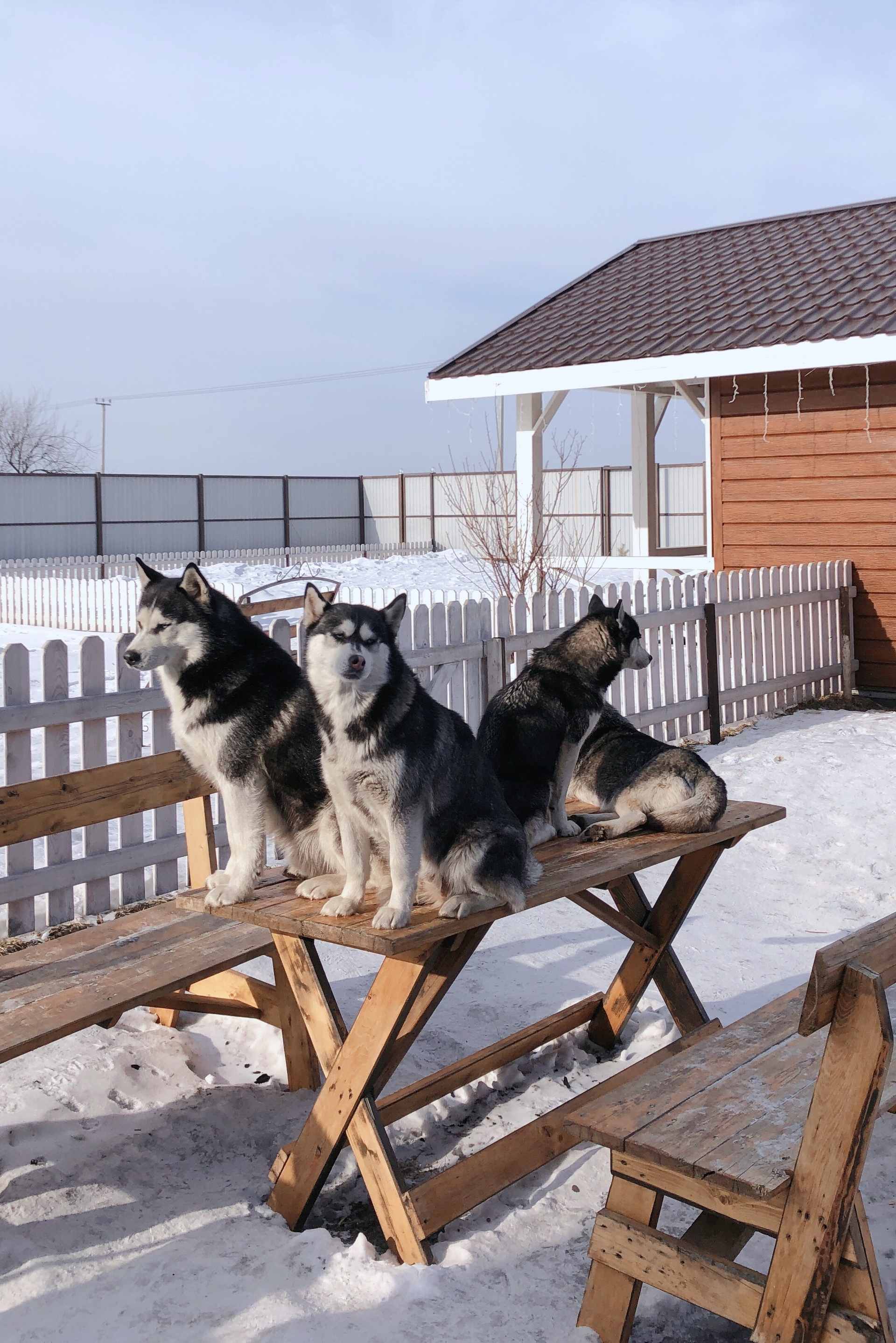 Аляска, загородный клуб, улица Полярная, 1, Красноярск — 2ГИС