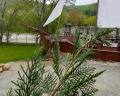 Shepsi River Village: отзыв от Алексей Джумагалиев