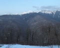 Ays Let It Snow: отзыв от Liia Lee