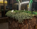History Boutique Hotel&Spa: отзыв от Риана Врублевская