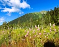 Lafa Glamp: отзыв от K R