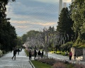 River Park: отзыв от Дмитрий Аман