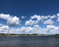 Капитал: отзыв от Алексей Муравьев