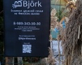 Bjork: отзыв от Ольга Радашкевич