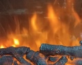 ТеремШато Новороссийск: отзыв от Дания Дранникова