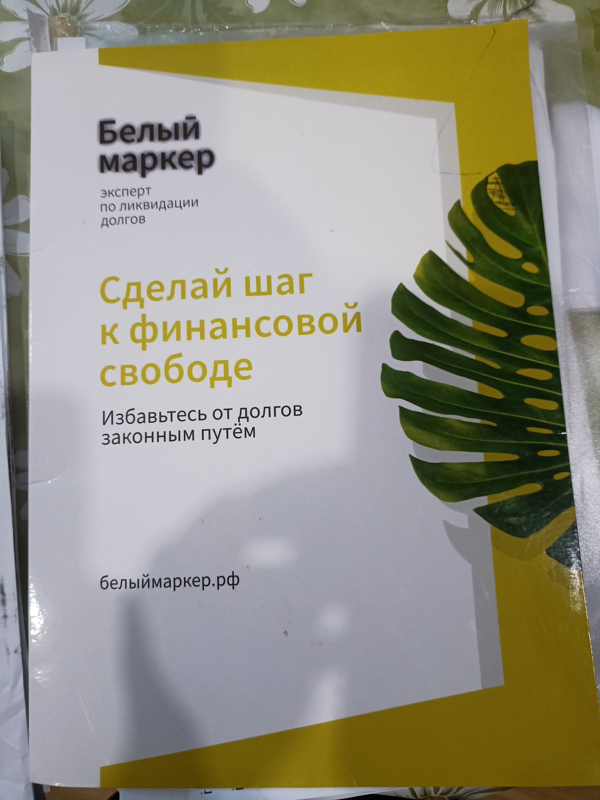 Белый Маркер, компания-эксперт по ликвидации долгов, Комсомольская улица,  96, Йошкар-Ола — 2ГИС