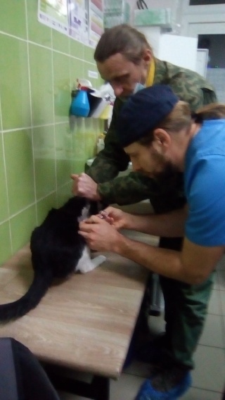 Супруга первого вице-мэра Воронежа опубликовала свою биографию В Курсе Воронеж -