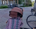 Родник Алтая: отзыв от Екатерина Захарченко