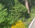 Парус: отзыв от Василий Петров