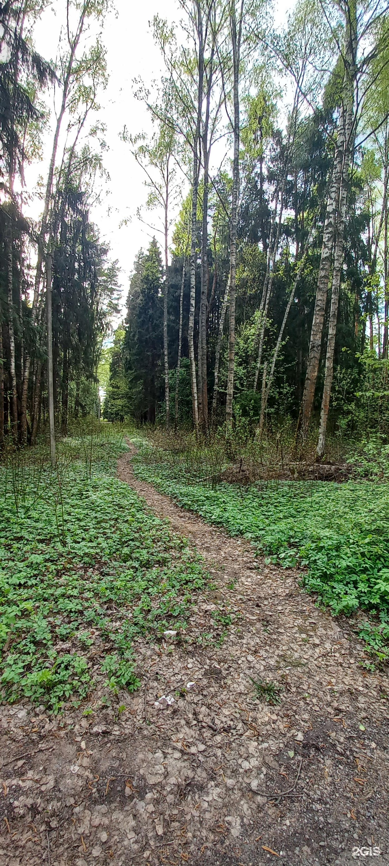 Forest spa relax, база отдыха, СНТ Каховка, 433, Королёв — 2ГИС