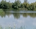 Берёзовка: отзыв от Игорь Худяков