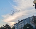 Витязь: отзыв от Ирина Никитина