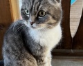 Солнечная горка: отзыв от Алина Морозова