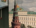 Улитка: отзыв от D Zvonov