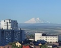 Классик: отзыв от Оксана Соловьева