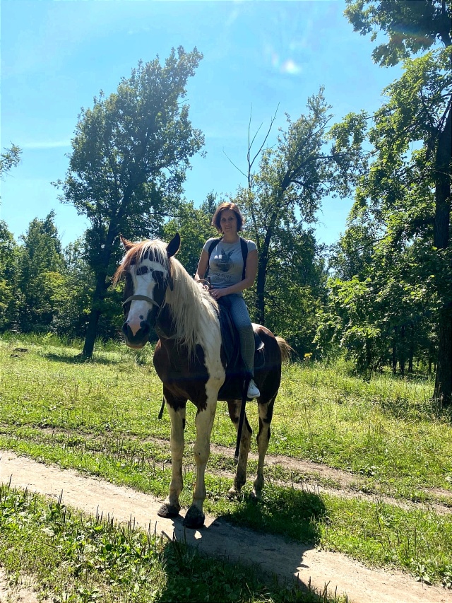 Метелица, horse riding, Russia, Penza, Marata Street, 62А - Yandex Maps