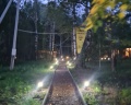 Панты: отзыв от Миронова Екатерина