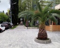 Family Park Hotel: отзыв от Elena Nazar