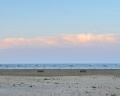 Sea breeze: отзыв от Артур Г