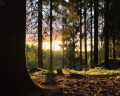 Хюгге Кэмп Карелия: отзыв от Chestnuttree