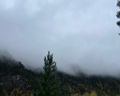 Pinewood resort&SPA: отзыв от Алина Павлова