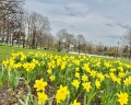 Парк Горького: отзыв от Анастасия Лемешева