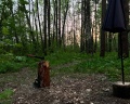 The Lagom: отзыв от Екатерина Середина