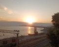 Берёзка: отзыв от Светлана Богомолова