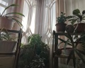 Дом купцов Агафуровых: отзыв от Анна Тедеева
