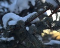 Сплавной участок: отзыв от Анна Лат