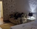 Rossi Boutique Hotel & SPA: отзыв от Михаил Пашин