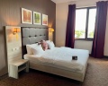 Golden Tulip: отзыв от Оксана Праскова