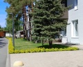 Наша хвоя: отзыв от Мария Авдеева