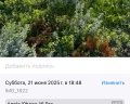 Rodina Residences Vladivostok 5*: отзыв от Katerina K