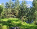Ural glamp: отзыв от Анастасия Яковлева