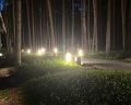Pinewood resort&SPA: отзыв от Анастасия Говдырь