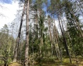 Аврора Country House: отзыв от Rafail Sagidullin