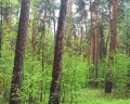 Лазурный: отзыв от Андрей Еремеев