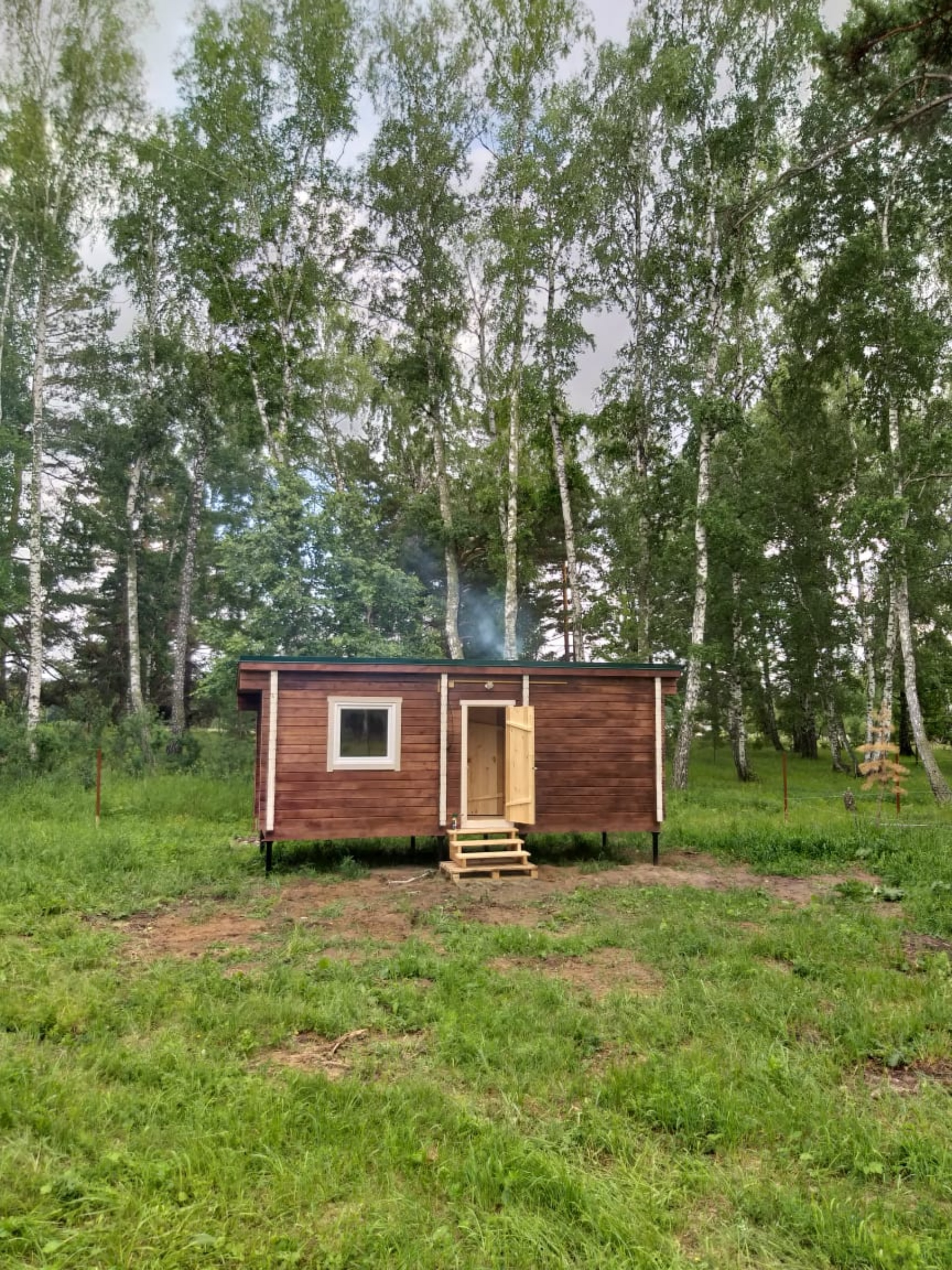 Сибирский лес строительство домов