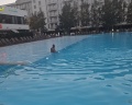 Город Mira Family Resort&SPA: отзыв от Ирина Сорокина