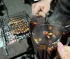 Речной бриз: отзыв от Марина Осипова