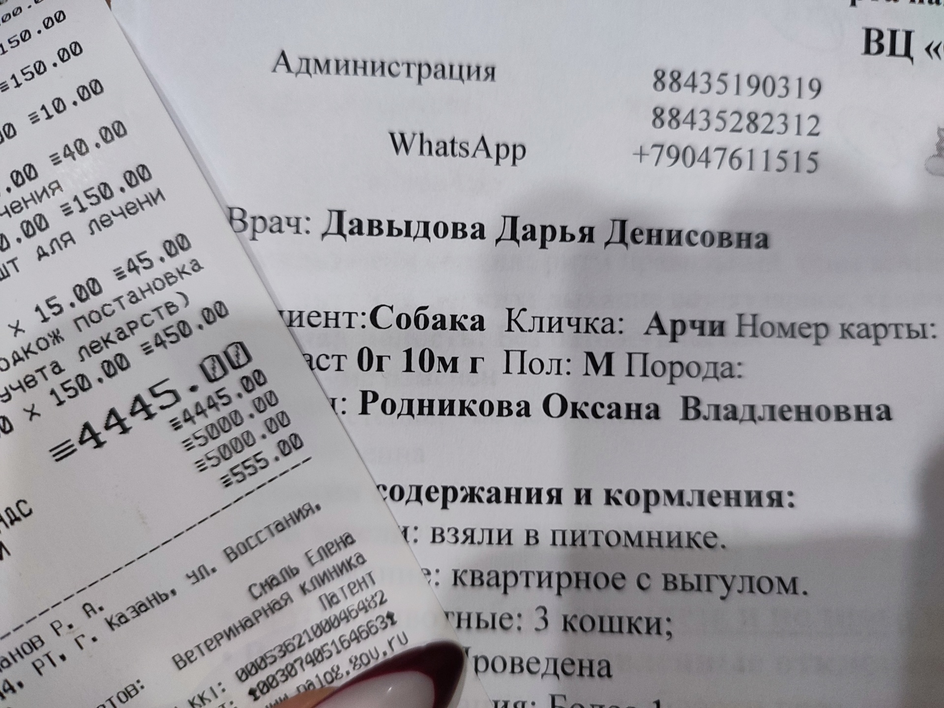 Солнышко, ветеринарный центр, БЦ Солнышко, улица Восстания, 8а, Казань —  2ГИС