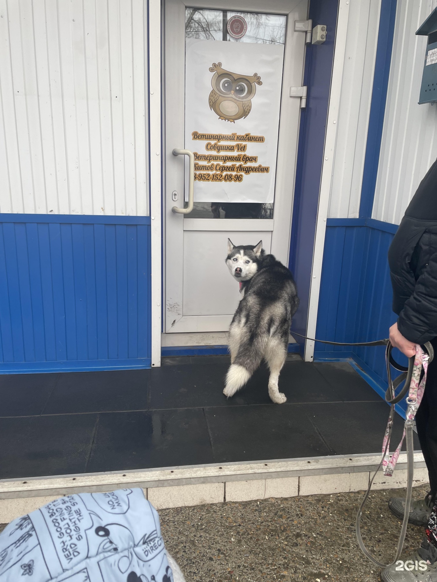 Совушка Vet, ветеринарный кабинет, Тихий переулок, 17, Томск — 2ГИС