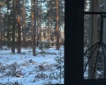 Петроглифы: отзыв от Алена Кириллова