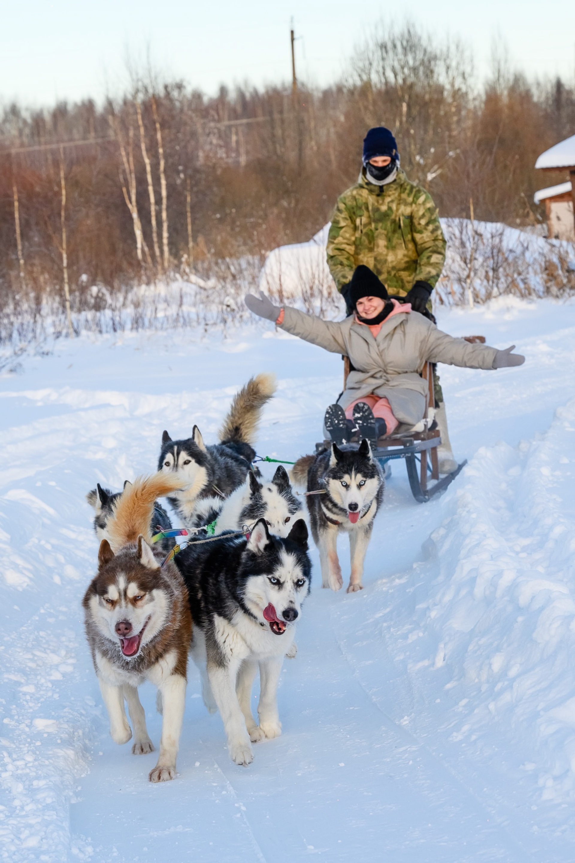 Ice Dog, база активного отдыха, питомник хаски, Костромской район,  Костромской район — 2ГИС