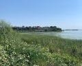 Мечта: отзыв от SergeevaInna