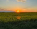 Аблъко Resort Торкотино: отзыв от Анастасия Парфенова